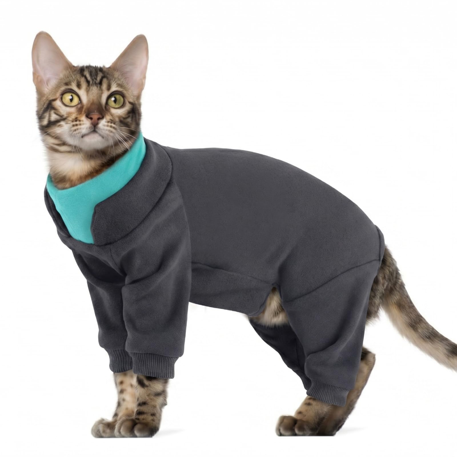 Combinaison à quatre pattes pour chat en fleece gris protection chic