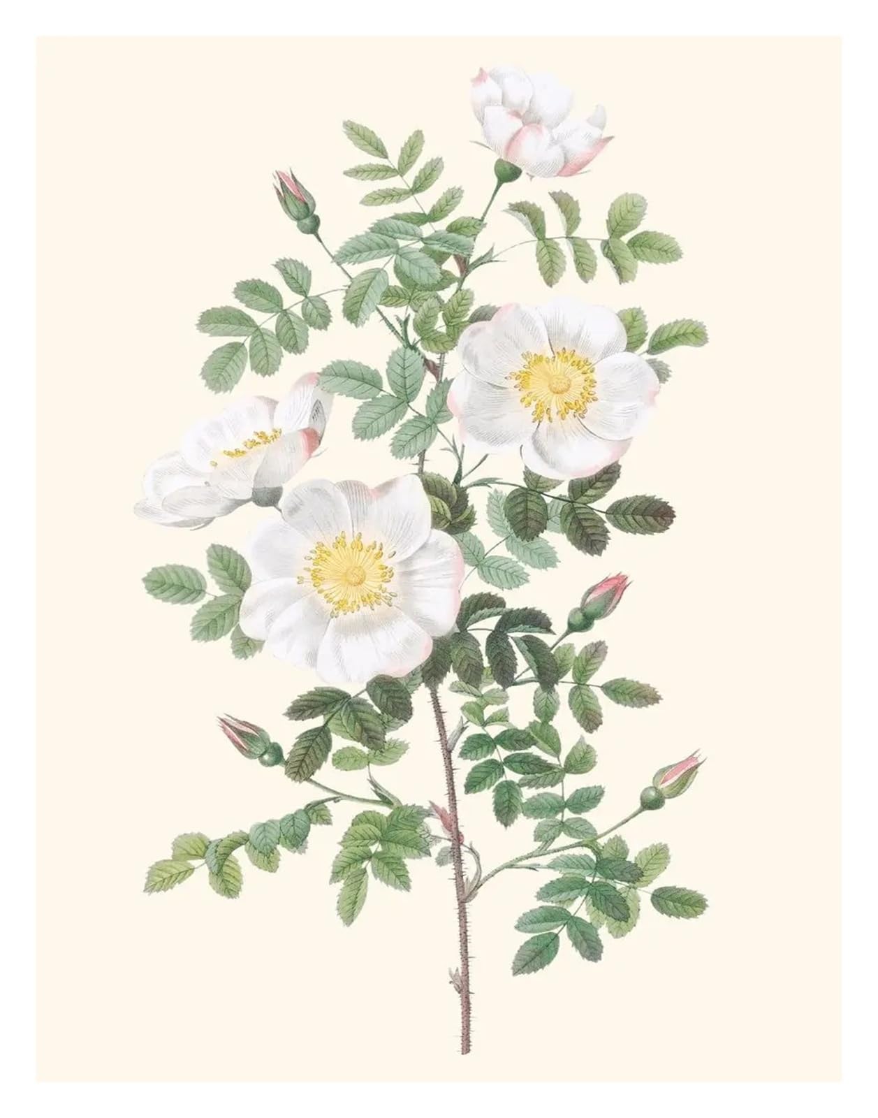 Peinture sur toile fleurs vintage tableau déco haut de gamme 40x50cm