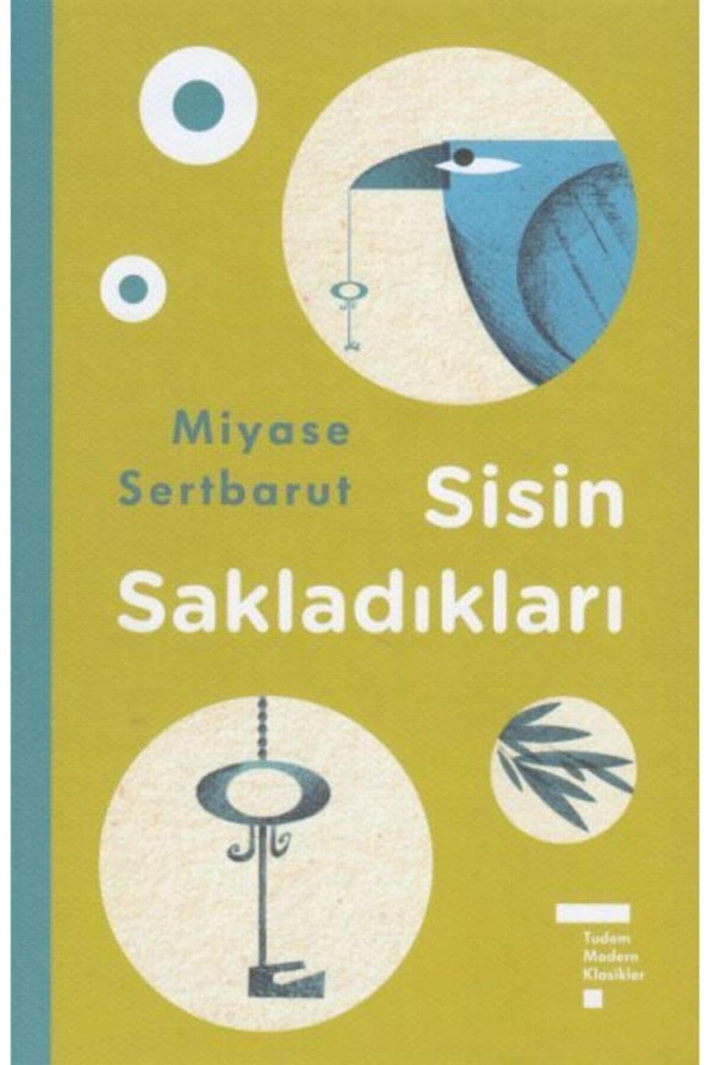 Sisin Sakladıkları (Ciltli)