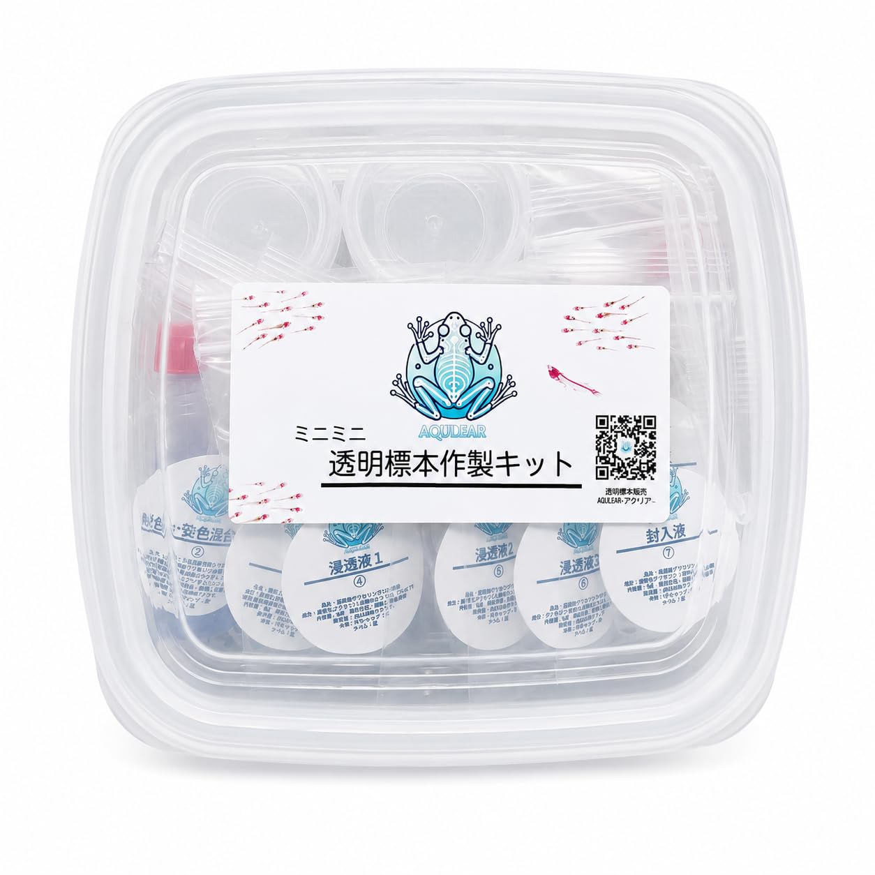 Amazon.co.jp: AQULEAR ミニミニ透明標本作製キット 初級 全13点 試料