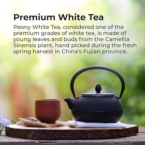 Miniatura 2 de Prince of Peace Té blanco premium, paquete de 2 – 100 bolsas de té cada una – Bolsas de té blanco – Prince Of Peace – Té de peonía blanca – Bolsas