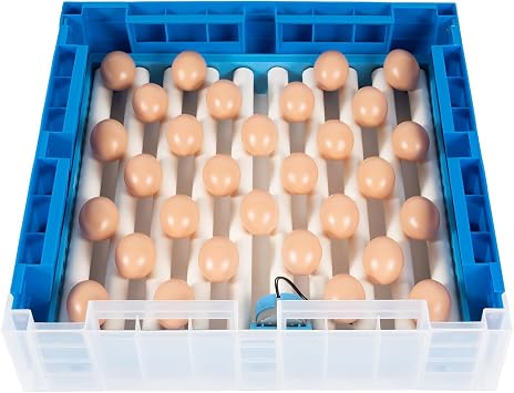 Egg Hatching Incubator 64 Eggs Automatic Egg Incubator Fully Automatic Digital Poultry Brooding Machine, Temperature Humidity Control & Automatic Egg Turner, for Chicken, Ducks, Birds & More