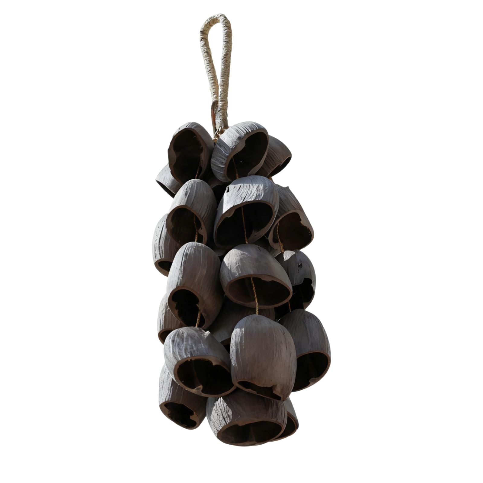 Hochet à main à grosse coque de noix, instrument de percussion en coque de fruit naturel, shaker aux sonorités apaisantes pour bien-être musical, méditation, yoga, hochet Salin fait main
