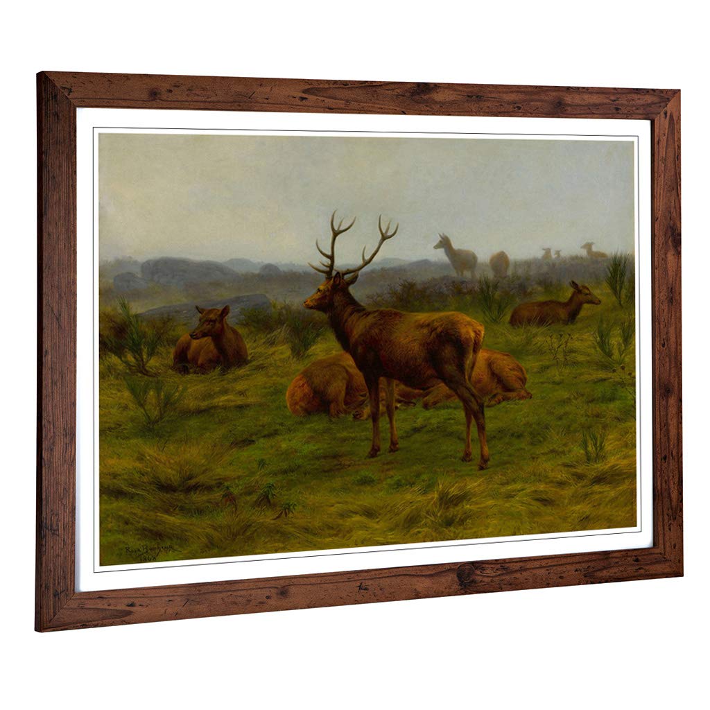 Big Box Art Framed Print of Rosa Bonheur The Stag and Deer Design | Wall Art Picture | Home Decor for Kitchen, Living, Dining Room, Bedroom, Hallway, Office, Walnut, A2 / 24.5x18 Inch / 62x45cm