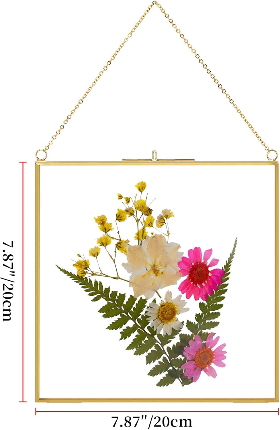 TLBTEK 2 PCS 8x8 inch Brass Hanging Photo Frame,Double Glass Frame for Pressed Flowers,Clear DIY Vintage Artwork Display Frame Wall Mounted Photos Frame