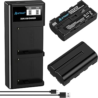 Artman NP-F550 Battery Upgraded LCD Dual Charger Compatible with Sony NPF530 F570 F330 F970 F960 F750 F770 CCD-SC55 TR516 TR716 TR818 TR910 (2-Pack 2900mAh)