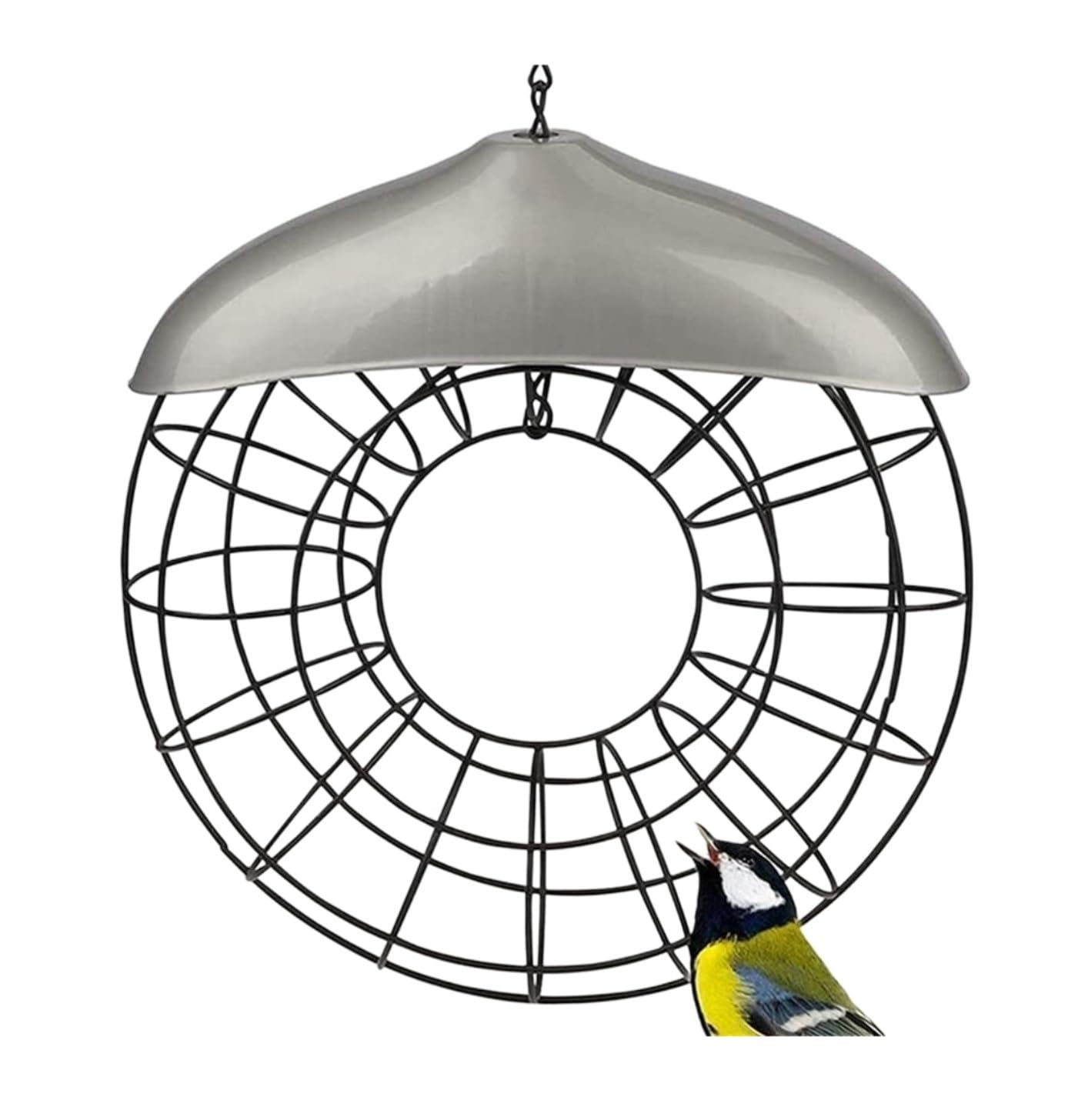 Mangiatoia per Uccelli per Esterni Mangiatoia per Uccelli Mangiatoia per Uccelli da Esterno con Ghirlanda Rotonda in Metallo da Appendere con Anello per Cibo Balcone Giardino