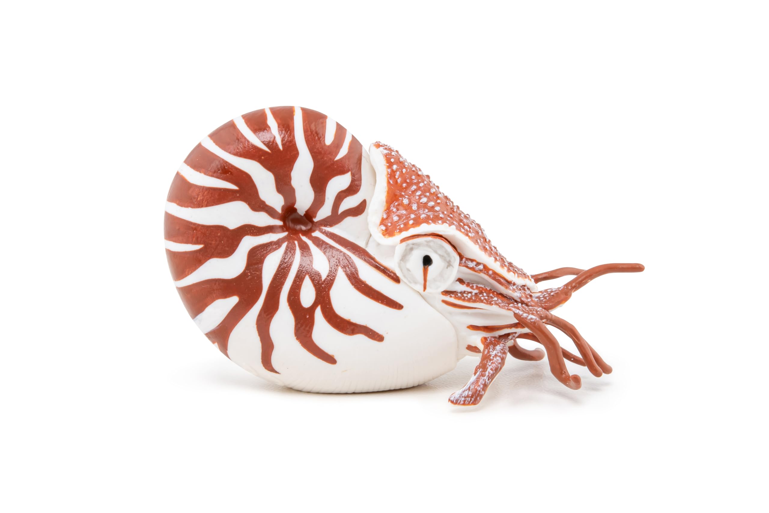 Papo, Realistic Nautilus Figure, Ages 3+, Marine Life Collection, Educational Play Marine Creatures - Image 3