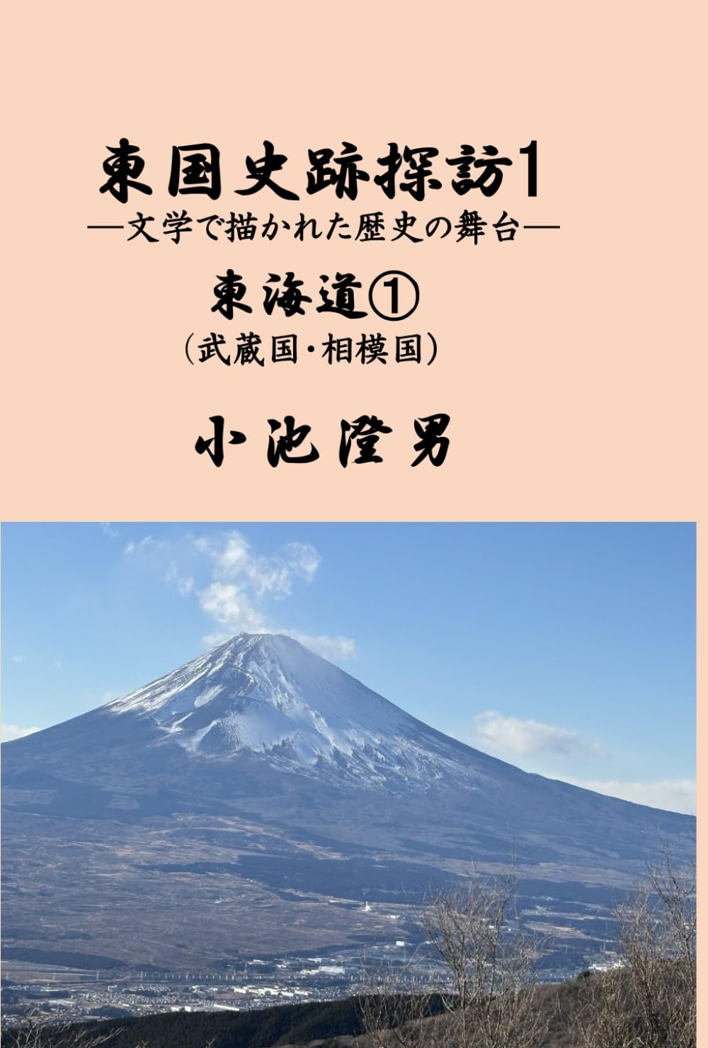 東国史跡探訪1: ー文学で描かれた歴史の舞台ー