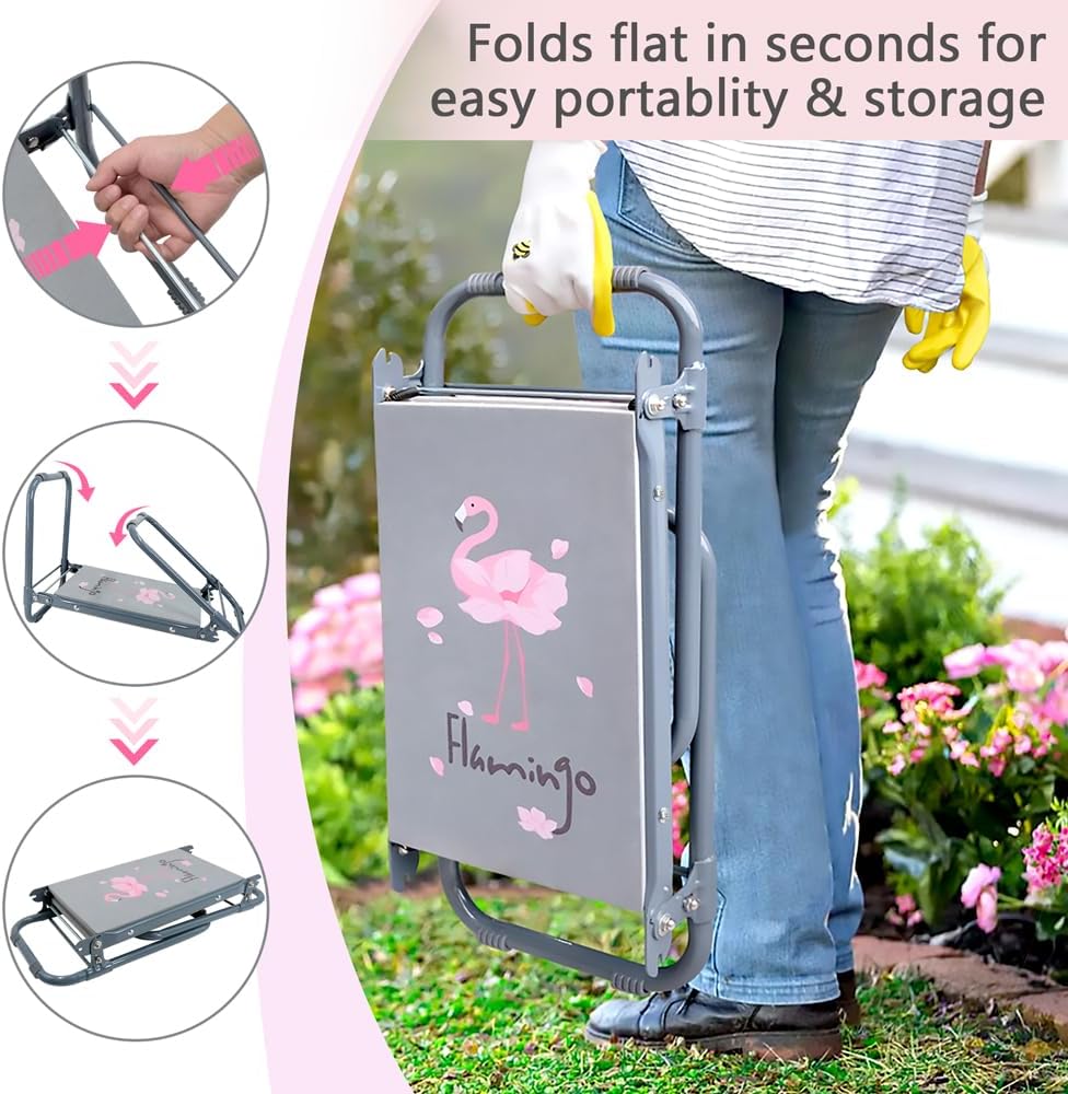 https://m.media-amazon.com/images/I/61icBp2GbQL._AC_SL1000_.jpg