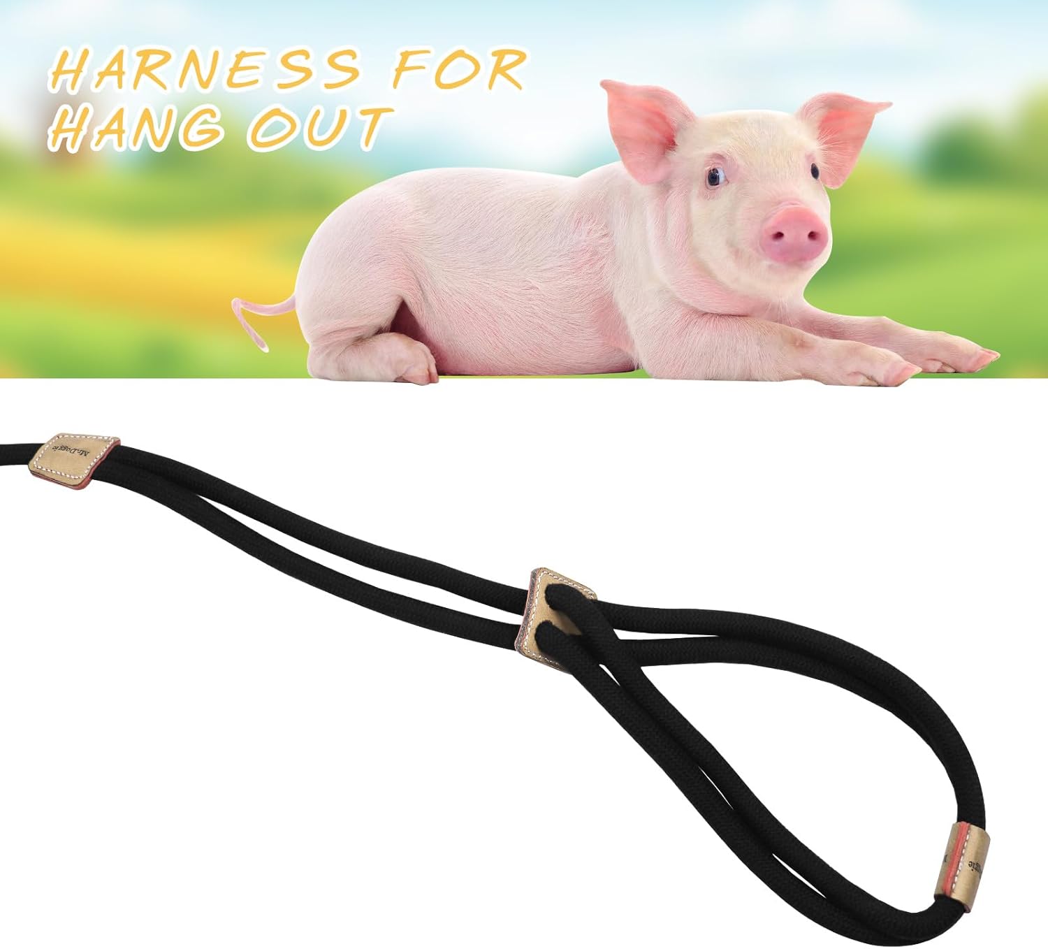Pig Harness, Adjustable 8 Feet Leash for Small to Medium Pet Pigs