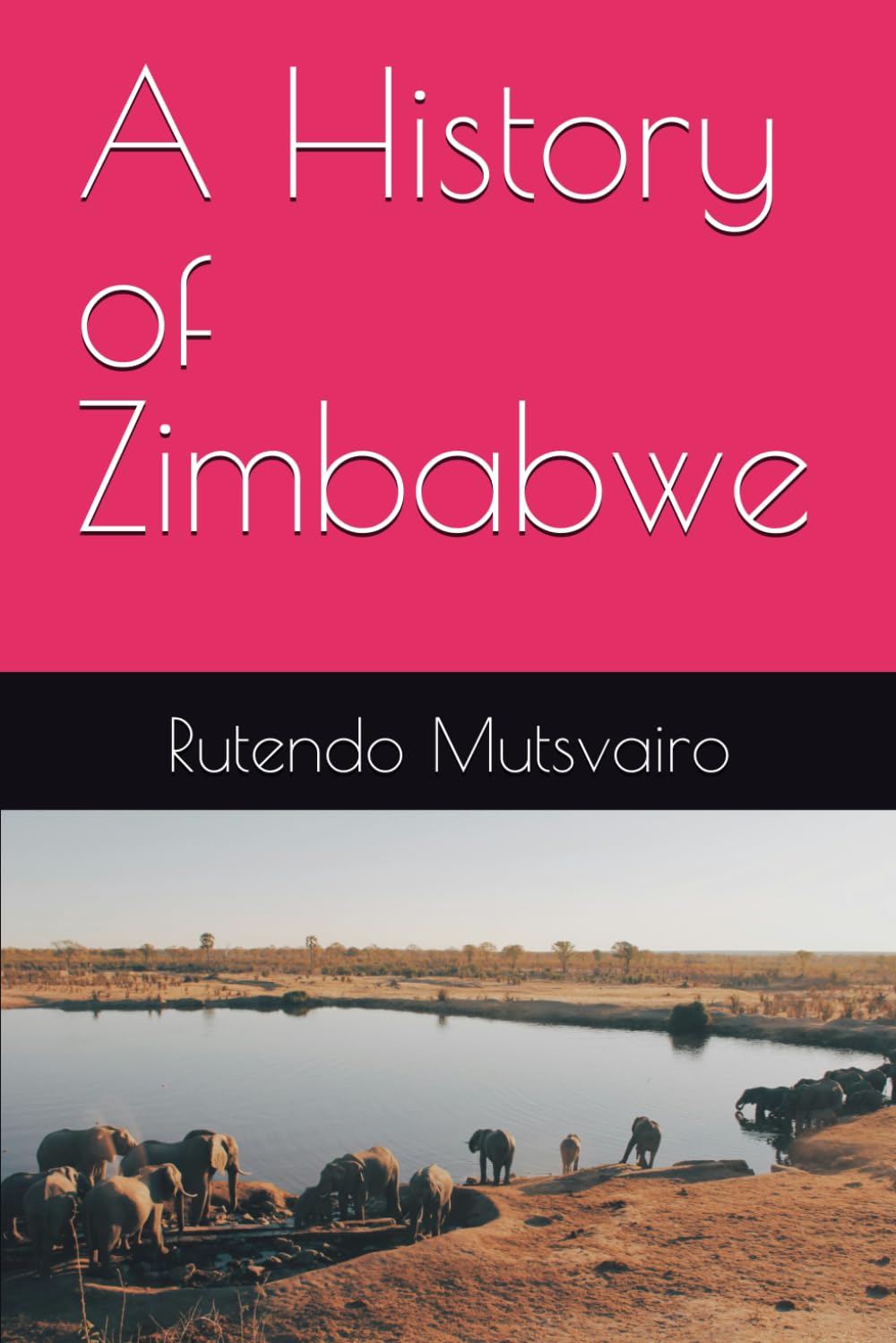 A History of Zimbabwe