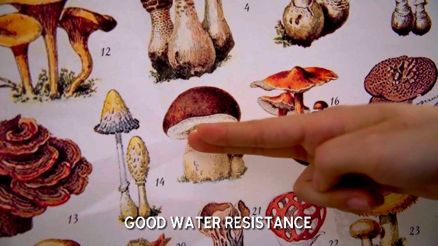 トップス Mushroom House Have Fungi But Be Careful Mushroom House Have Fungi But Be Careful
