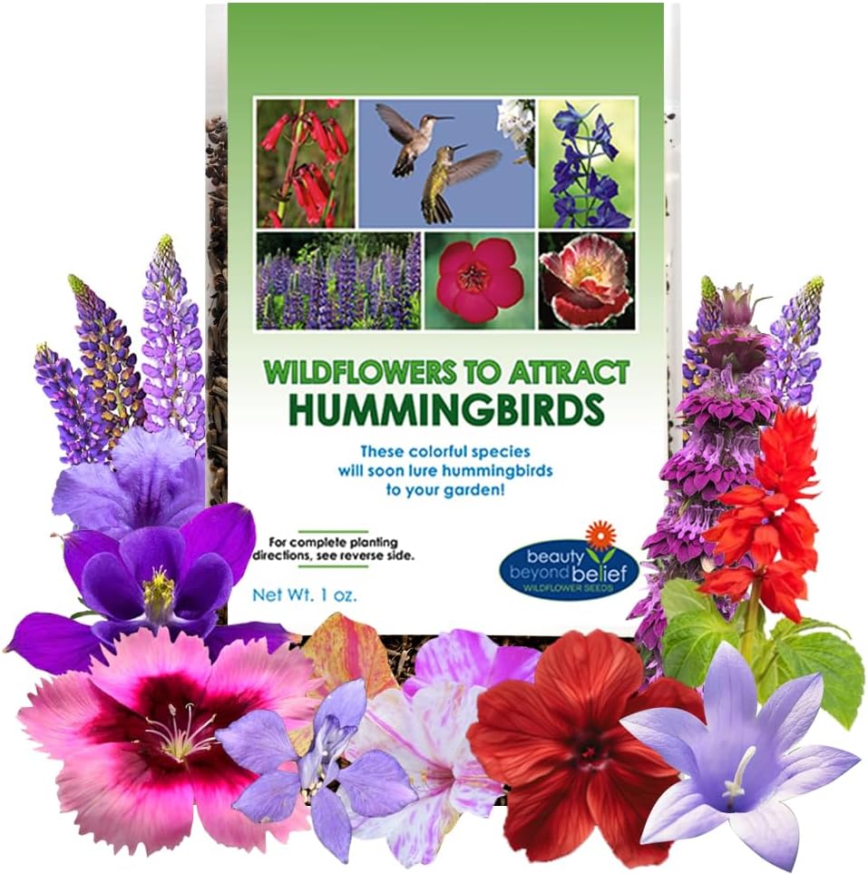 A collection of high-quality, non-GMO wildflower seeds specifically chosen to attract hummingbirds.