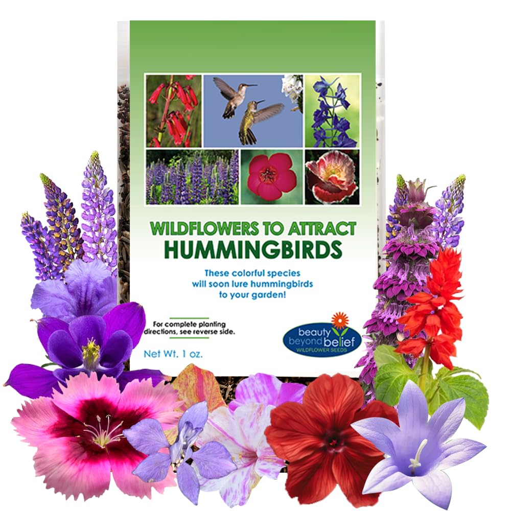 Hummingbird Nectar Wildflower Seeds - 1oz, Open-Pollinated Flower Seed Mix Packet, Non-GMO, No Fillers, Annual, Perennial Wildflower Seeds Year Round Planting - 1 oz
