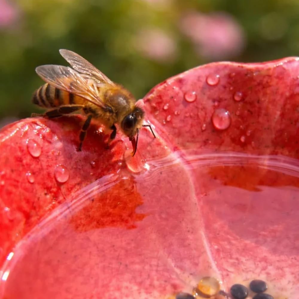Gartenort Tränke für Bienen, Dekoration für Rasen, Balkon & Terrasse, Für alle Jahreszeiten geeignet