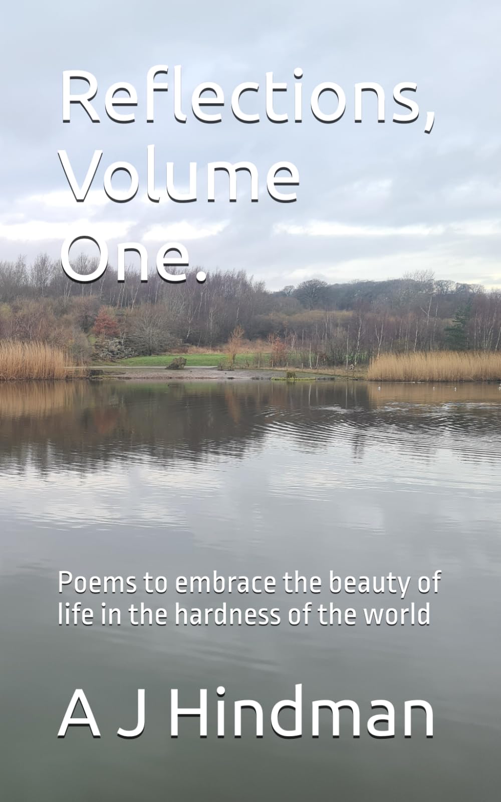 Reflections, Volume One.: Poems to embrace the beauty of life in the hardness of the world