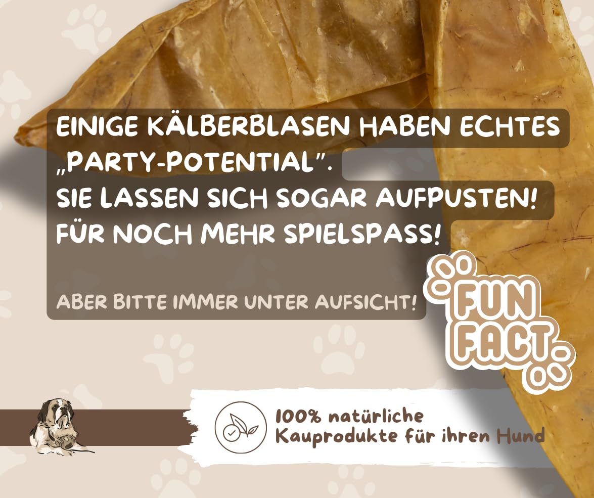 Warnick´s Tierfutterservice - Hundesnack - Getrocknete Kälberblase flach für Hunde – 100 % Rind, Naturkausnack luftgetrocknet – Zahnpflege & Kauspaß – fettarm & gut verdaulich – 2kg (ca. 60 Stück)