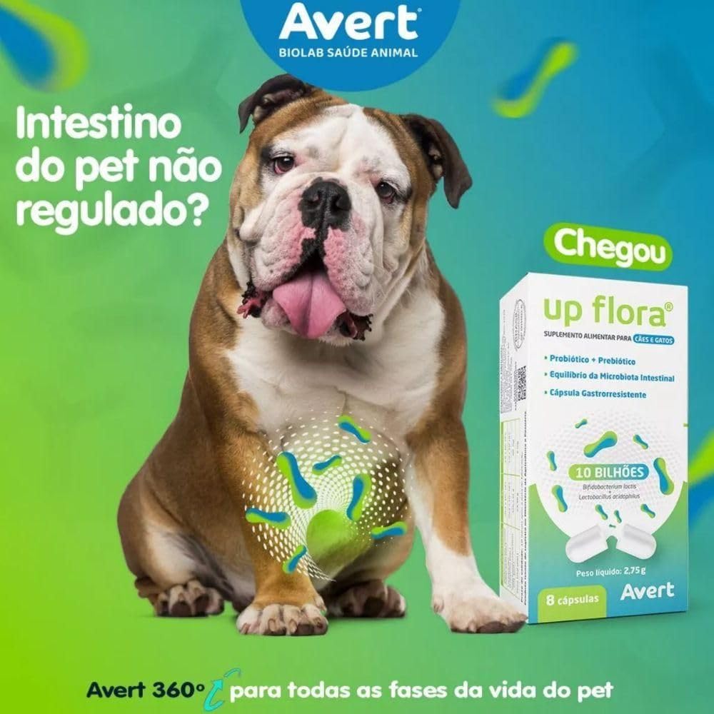 Up Flora Probiótico Suplemento Cão E Gato 8 Cápsulas Avert