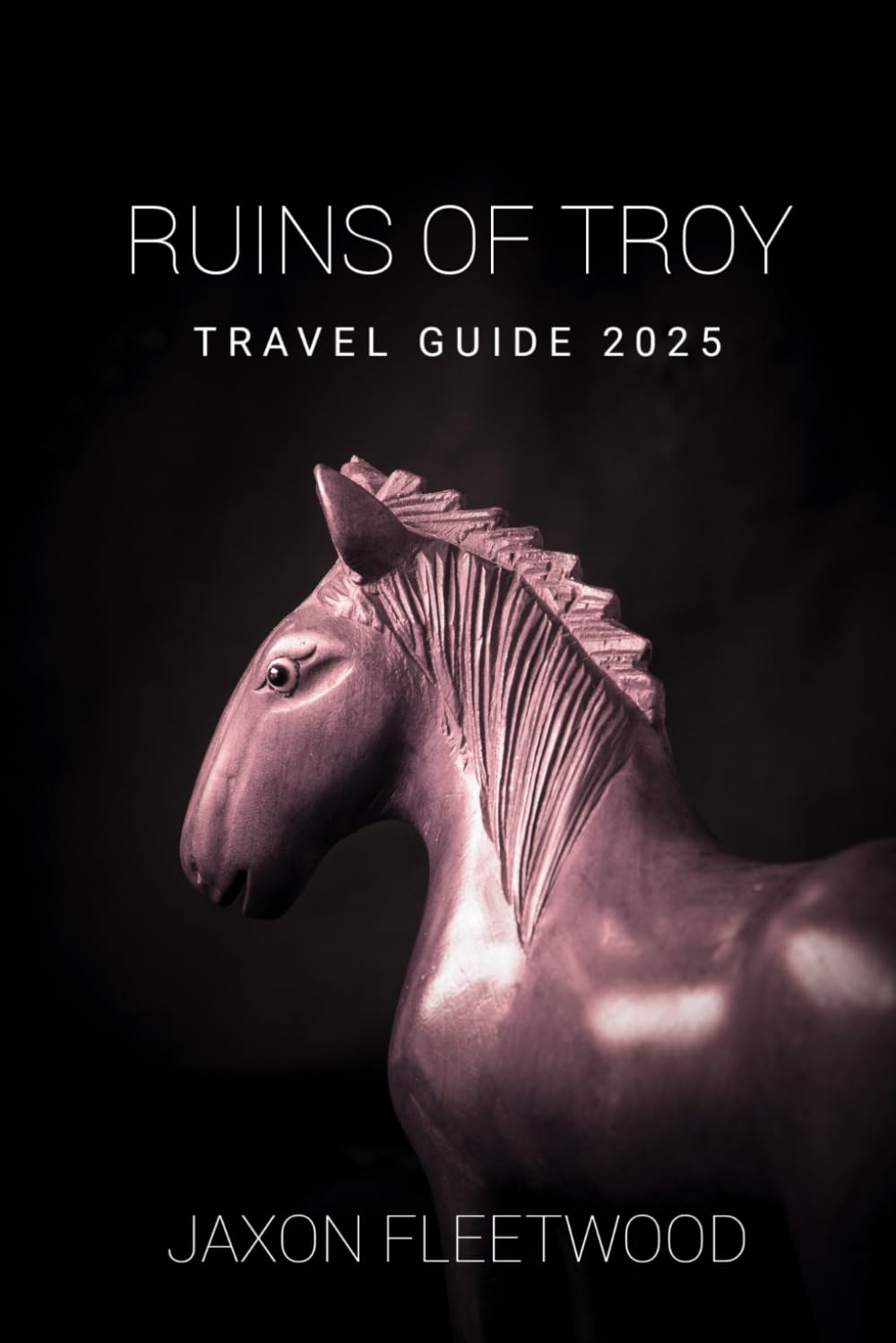 Ruins of Troy Travel Guide 2025 (Wanderway Chronicles: Exploring the World’s Hidden Stories and Uncharted Paths)