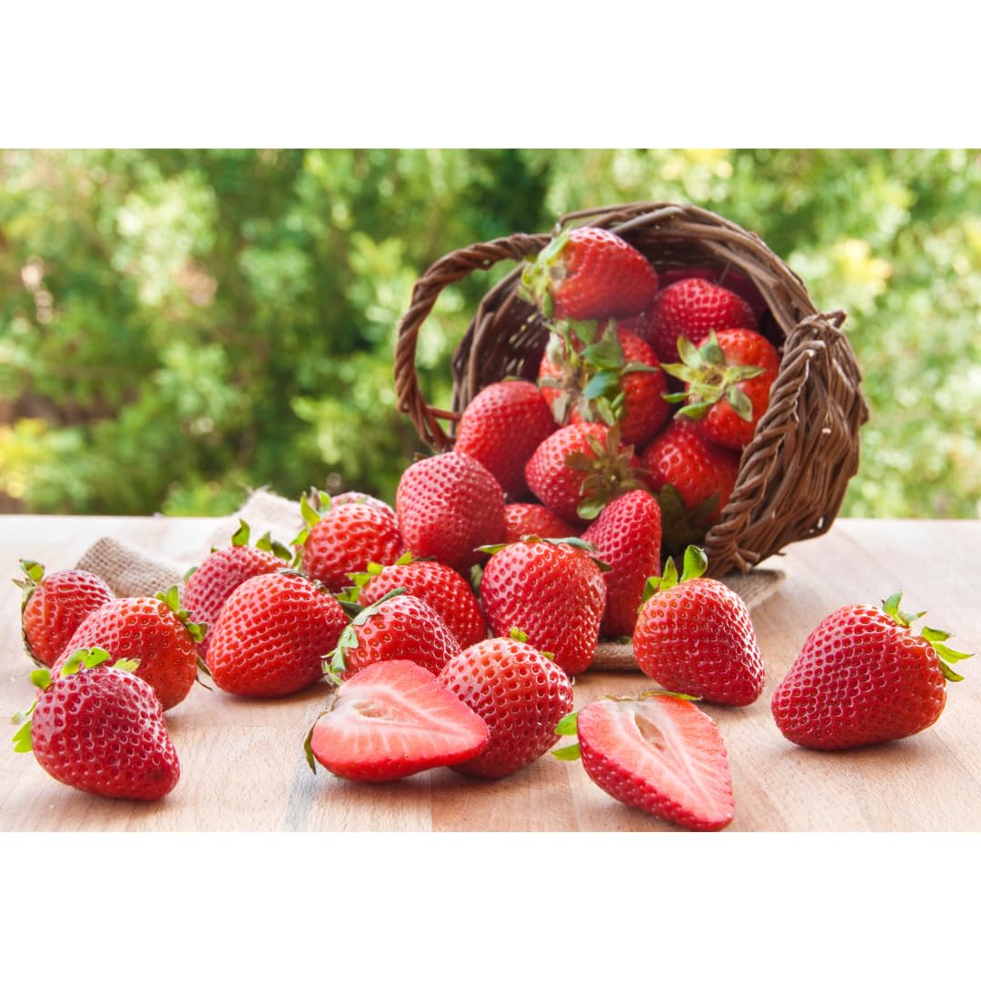 See full amazon price history chart for Saphirre Seeds Strawberry Seeds (100+ Seeds Per Packet) Saphirre Seeds Strawberry Seeds (100+ Seeds Per Packet) (B09Q1DJ9L7) Amazon Price History, Amazon Price Tracker