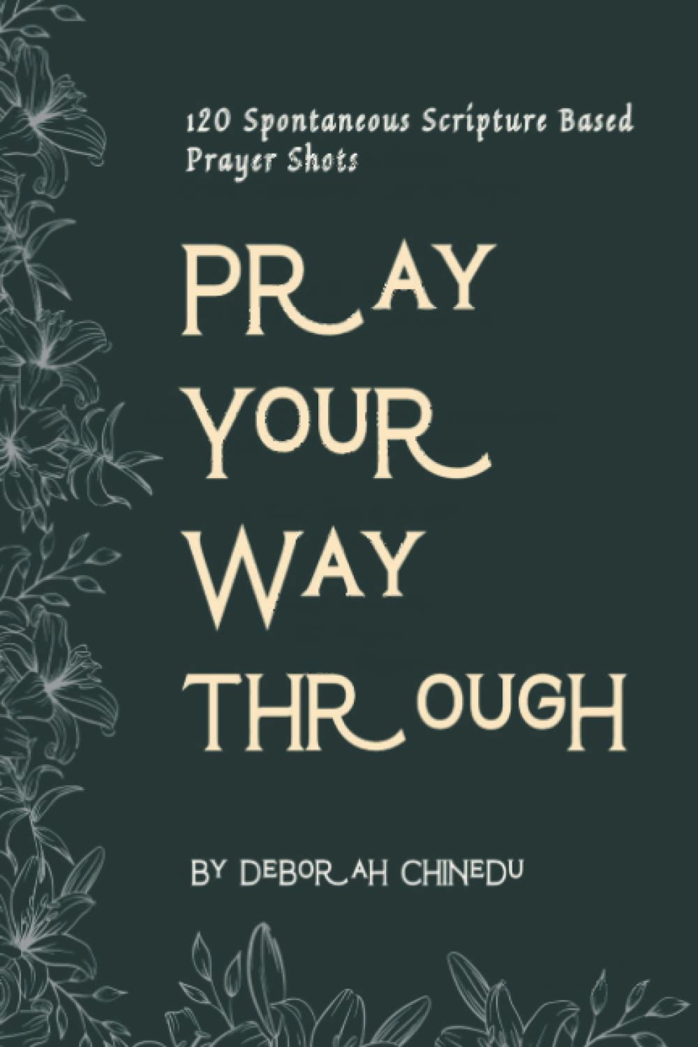 Pray Your Way Through: 120 Spontaneous Scripture Based Prayer Shots