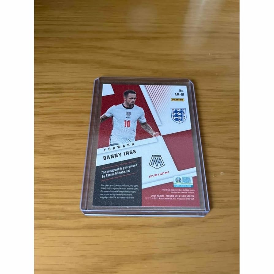 【PANINI社イタリア製カード】ジーコ PANINI社イタリア製カード】ジーコ PANINI社イタリア製カード