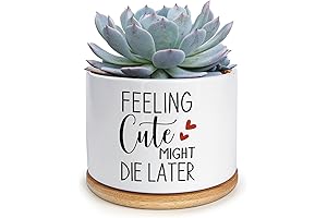 Feeling Cute Might Die Later Planter