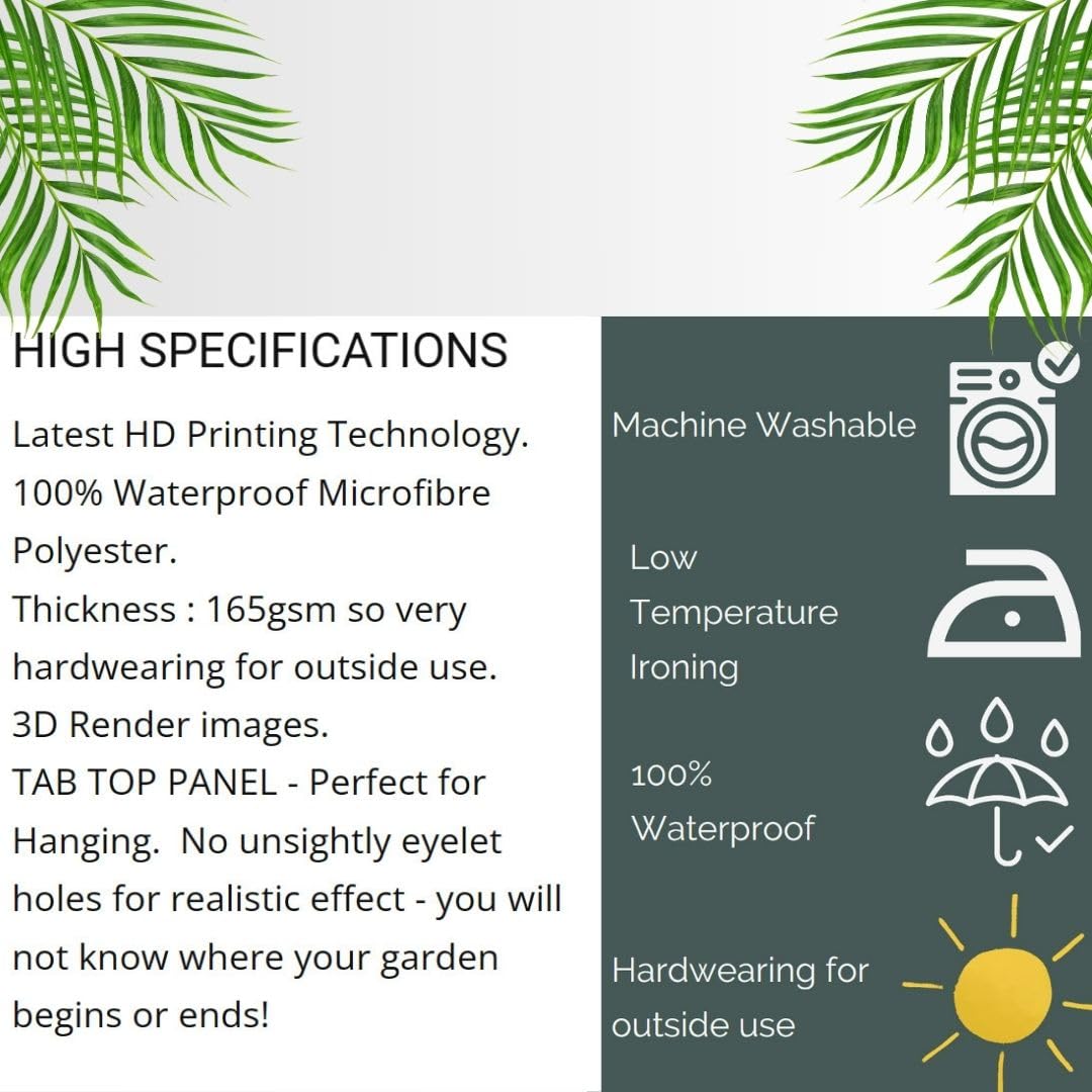 View 6