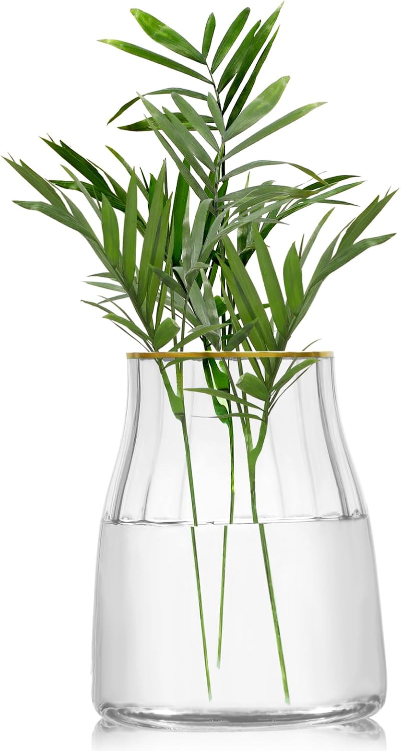 VanEnjoy 7 inch Clear Simple Glass Flower Vase, Decorative Gilded Rim Vase Home Decor for Indoor Centerpiece