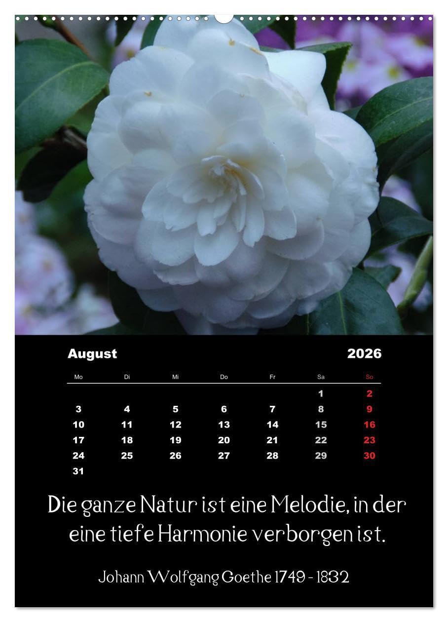 Sprüche und Zitate berühmter Personen über Blumen und Natur (hochwertiger Premium Wandkalender 2026 DIN A2 hoch), Kunstdruck in Hochglanz: ... Spruch unter jedem Bild (CALVENDO Natur)