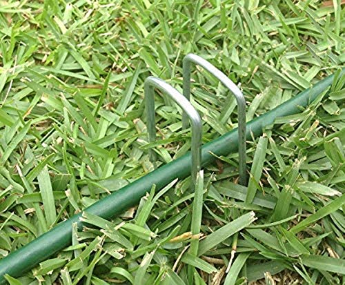 Aagut Garden Stakes Pins, Landscape Staples 250 Pack 6 Inch 11-Gauge Galvanized Lawn Stake For Dog Fence, Weed Barrier Fabric, Ground Cover, Irrigation Tubing Soaker Hose, Chicken Wire #TOP5