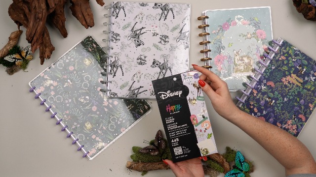 Amazon.com : Happy Planner Disney Disc-Bound Mid-Year 12