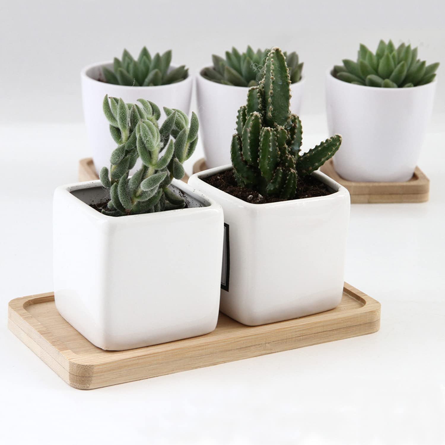 Amazon.co.jp: GUKBIAY 竹製プラントソーサー 6.8 x 3.45インチ 2