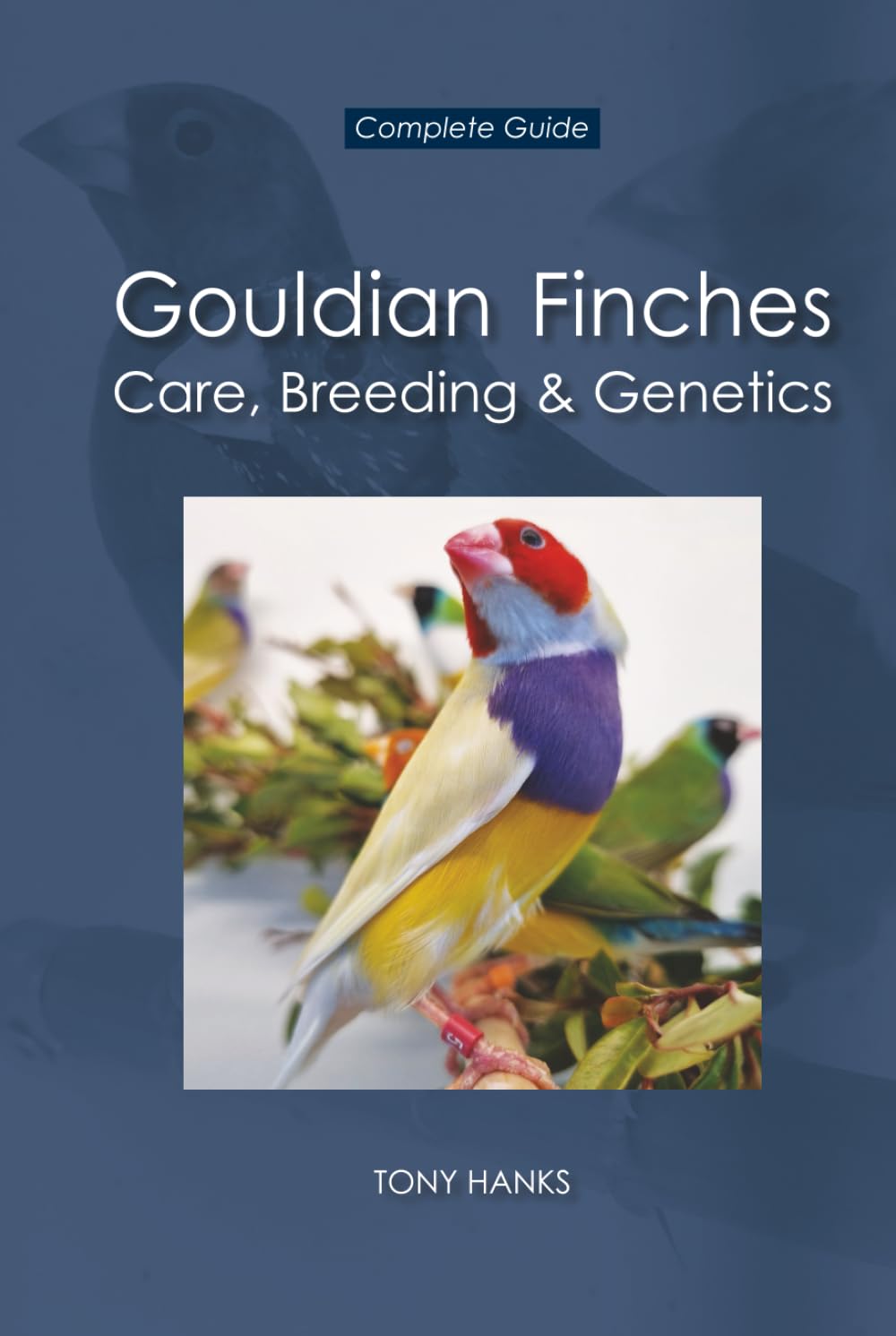 Gouldian Finches - Care, Breeding & Genetics: Complete Guide