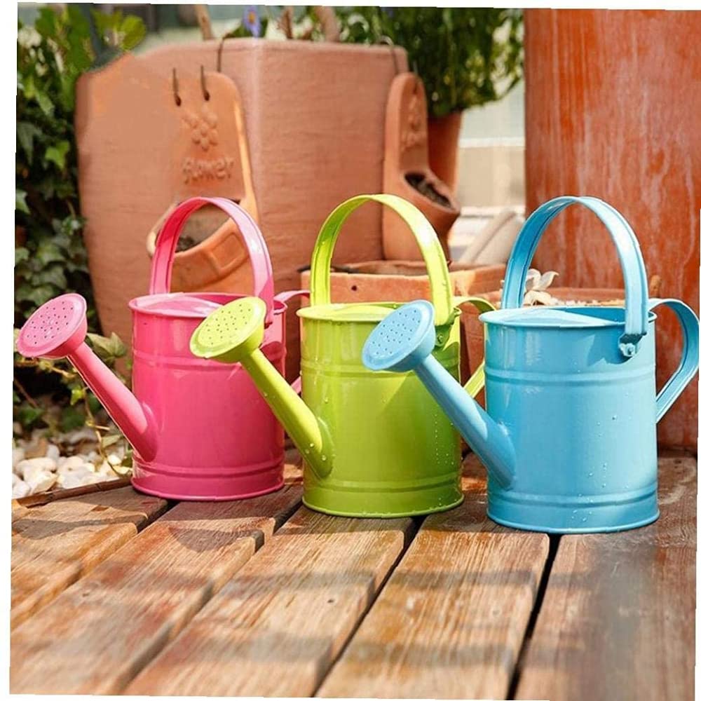Annaffiatoio in Metallo Annaffiatoio da Giardino Secchio per Annaffiare in Ferro Color Caramella Spolverare in Latta Bollitore per Piante da Giardino Fiori-Blue