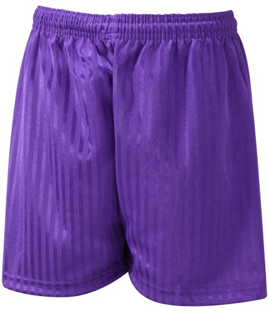 David Luke School Uniform Shadow Stripe Long Leg Boys Shorts Purple 30-32"