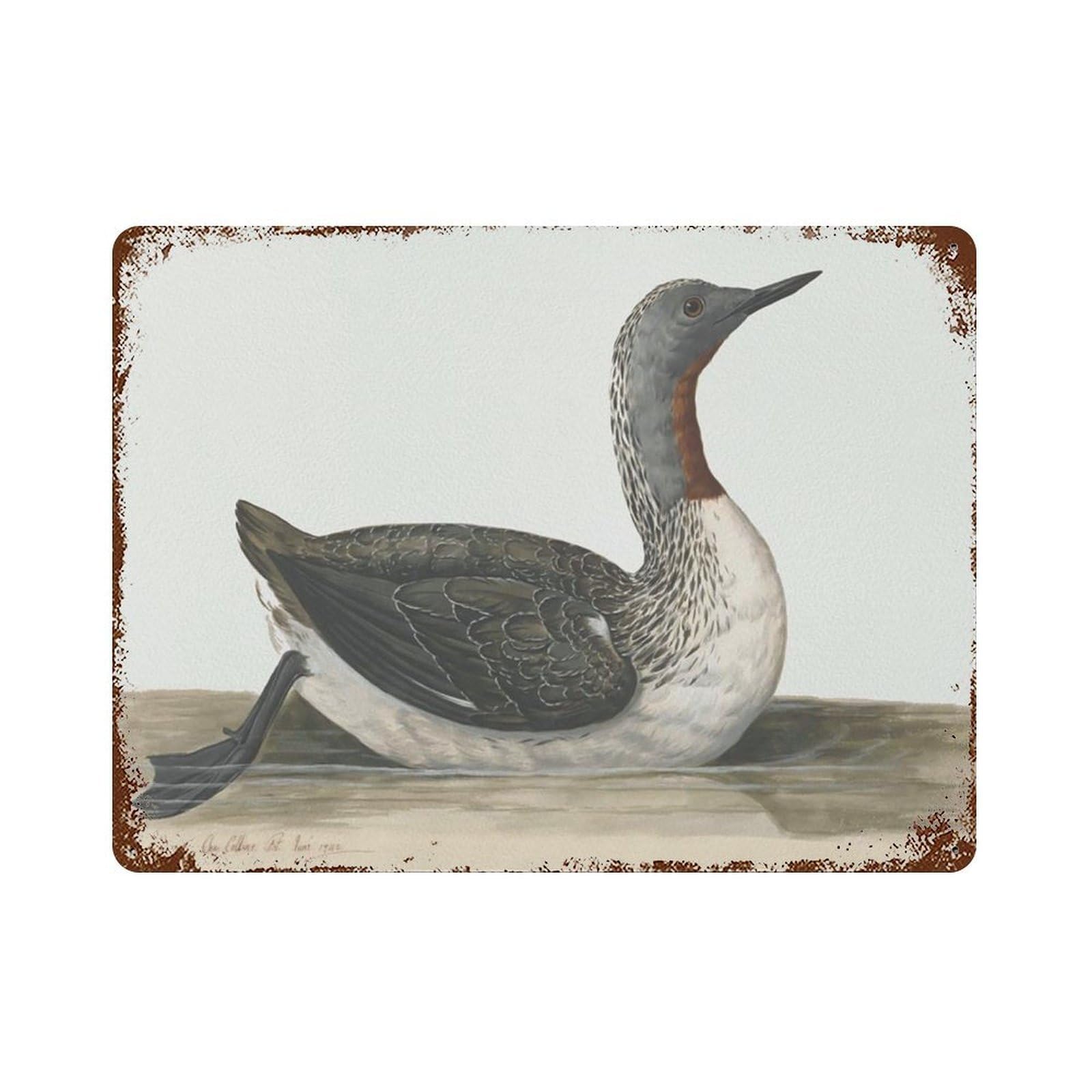xiaoxiaoshen Vintage Duck, Nursery, Farmhouse Drawing Room Wall Decor Art Metal Tin Poster Modern Home Decor Art Home Bar Shop Decorations Vintage Sign 30x40cm
