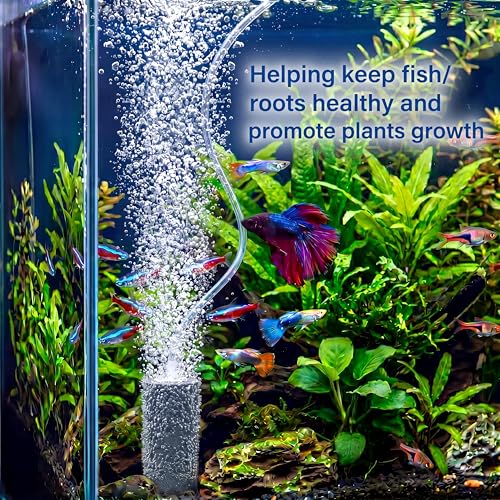 Image of Nuanchu 24 Pack 4x2 Inch Air Stones for Aquarium, Cylinder Bubble Diffuser Oxygen Aerator Stones, Sintered Mineral Airstones for Fish Tank, Pond, Hydroponics Dwc Reservoir, Buckets