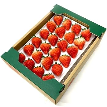 紅イチゴ様 リクエスト 2点 おまとめ商品 いちご様 リクエスト 2点 まとめ商品 - メルカリ