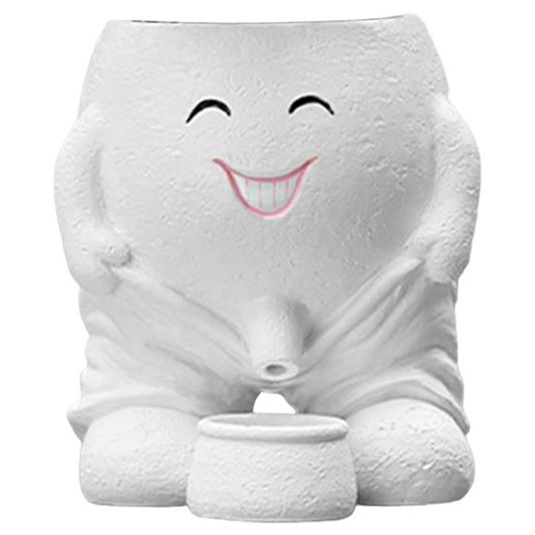 Hintyne Vase Succulent Pots, Creative Smile Succulent Planter with Drainage Hole, Novelty Resin Flower Pots for Indoor & Outdoor Plant Home Office Decor, White
