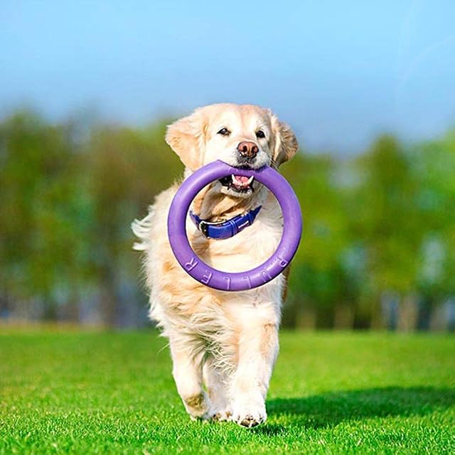 Foto 6 de 8 de Ferplast Juguete Perro, Anillo de Entrenamiento Perros para Masticar, Correr, Saltar, Disparar, Robusto