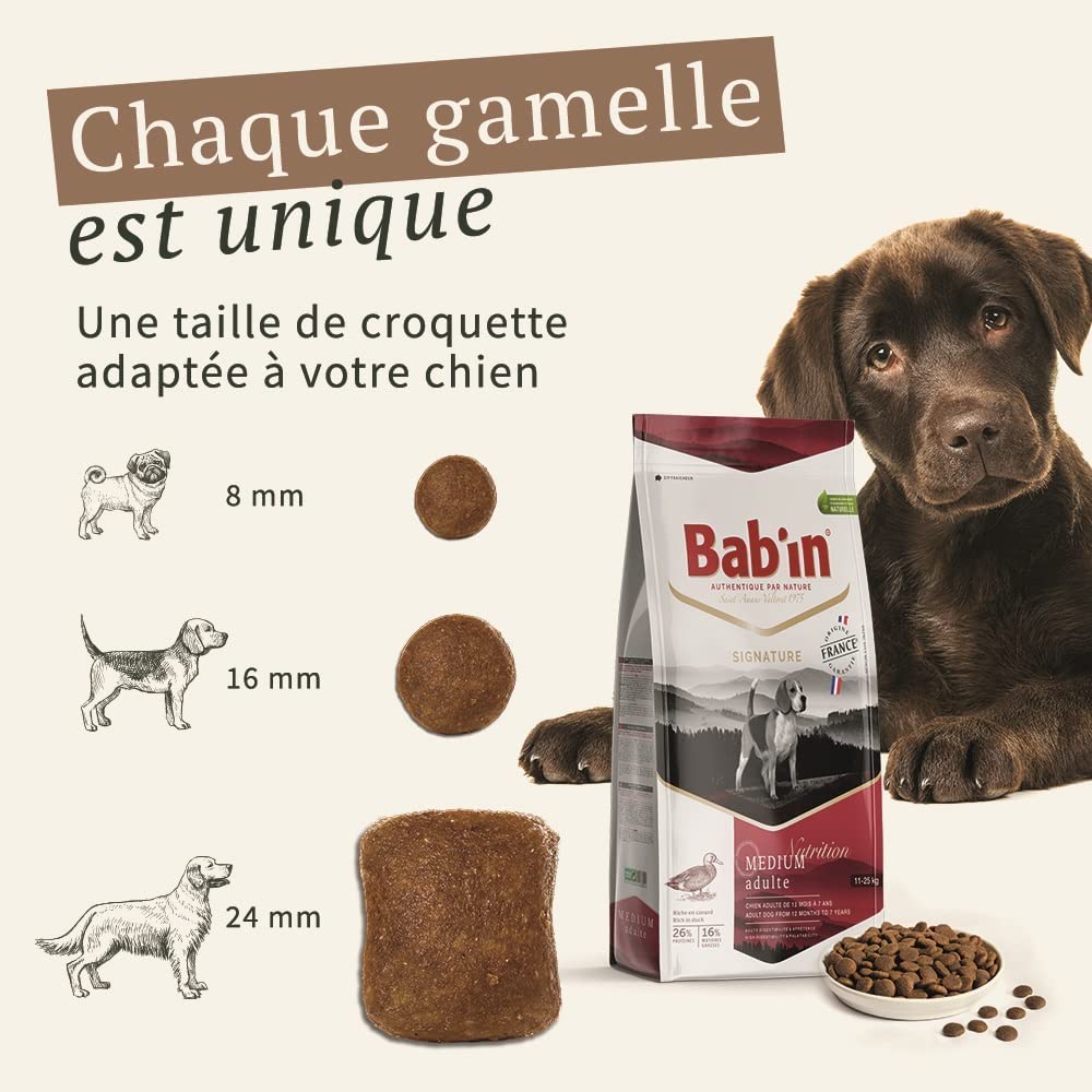 Bab'in Signature Adulte Canard 12KG - Croquettes pour Chiens Adultes Toutes Races - Naturelles, Saines et Équilibrées - Adaptées aux Besoins Nutritionnels - Riche en Canard