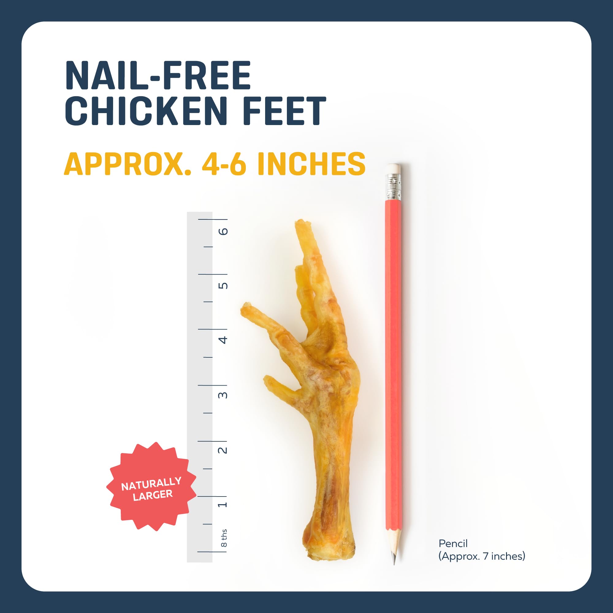 Big Lu – Nail-Free Chicken Feet Dog Chews, (30-Pack) | 100% Natural Single-Ingredient Treats, Rawhide-Free, Long-Lasting, Rich in Glucosamine and Chondroitin for Joint Health