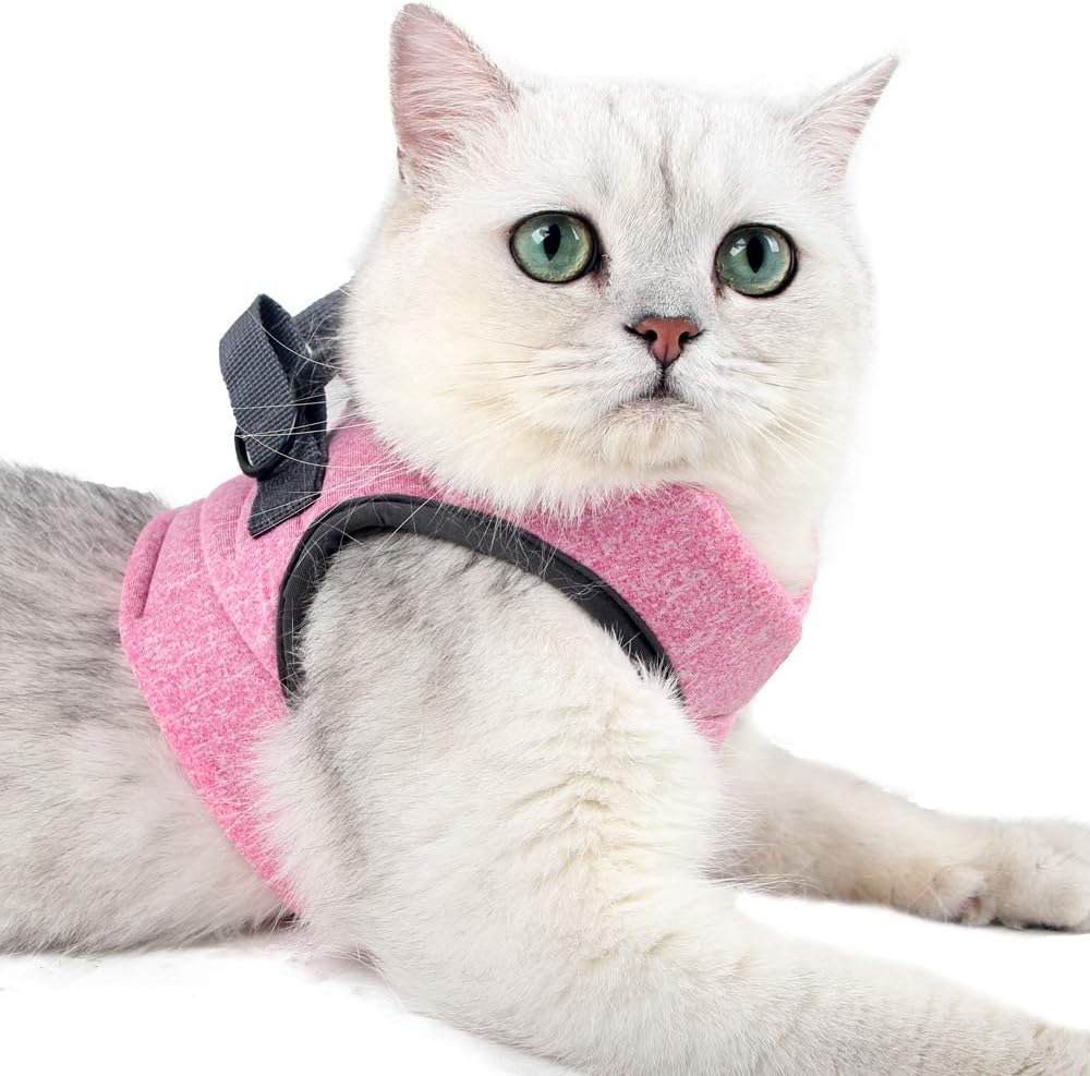 Heywean Cat Harness and Leash - Ultra Light Escape Proof Kitten Collar Cat Walking Jacket with Running Cushioning Soft and Comfortable Suitable for Puppies Rabbits (S, Pink)