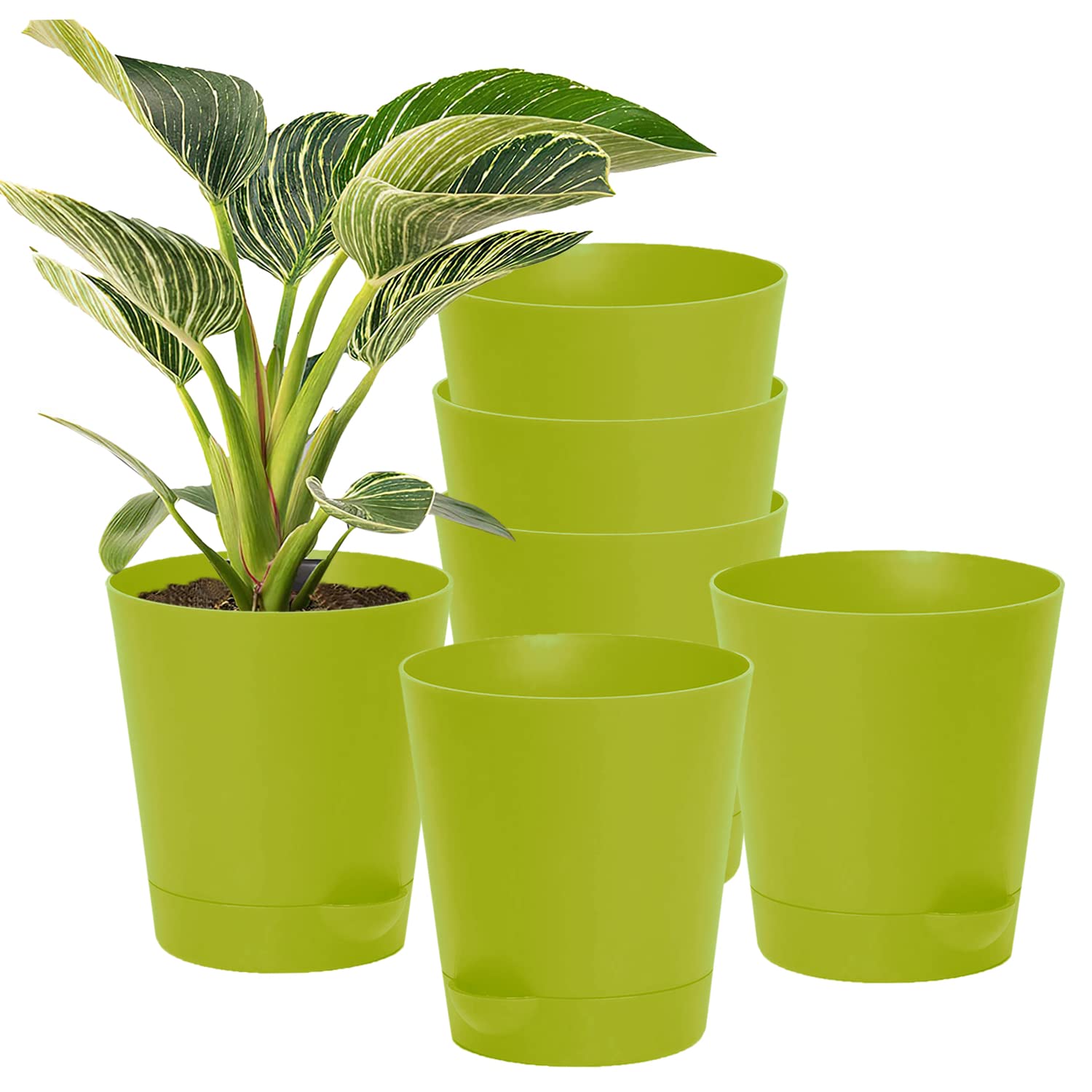 Kuber Industries Plastic Titan Pot|Garden Container for Plants & Flowers|Self-Watering Pot with Drainage Holes,6 Inch,Pack of 6 (Green) (B0BBLZ1SS5) Amazon Price History, Amazon Price Tracker