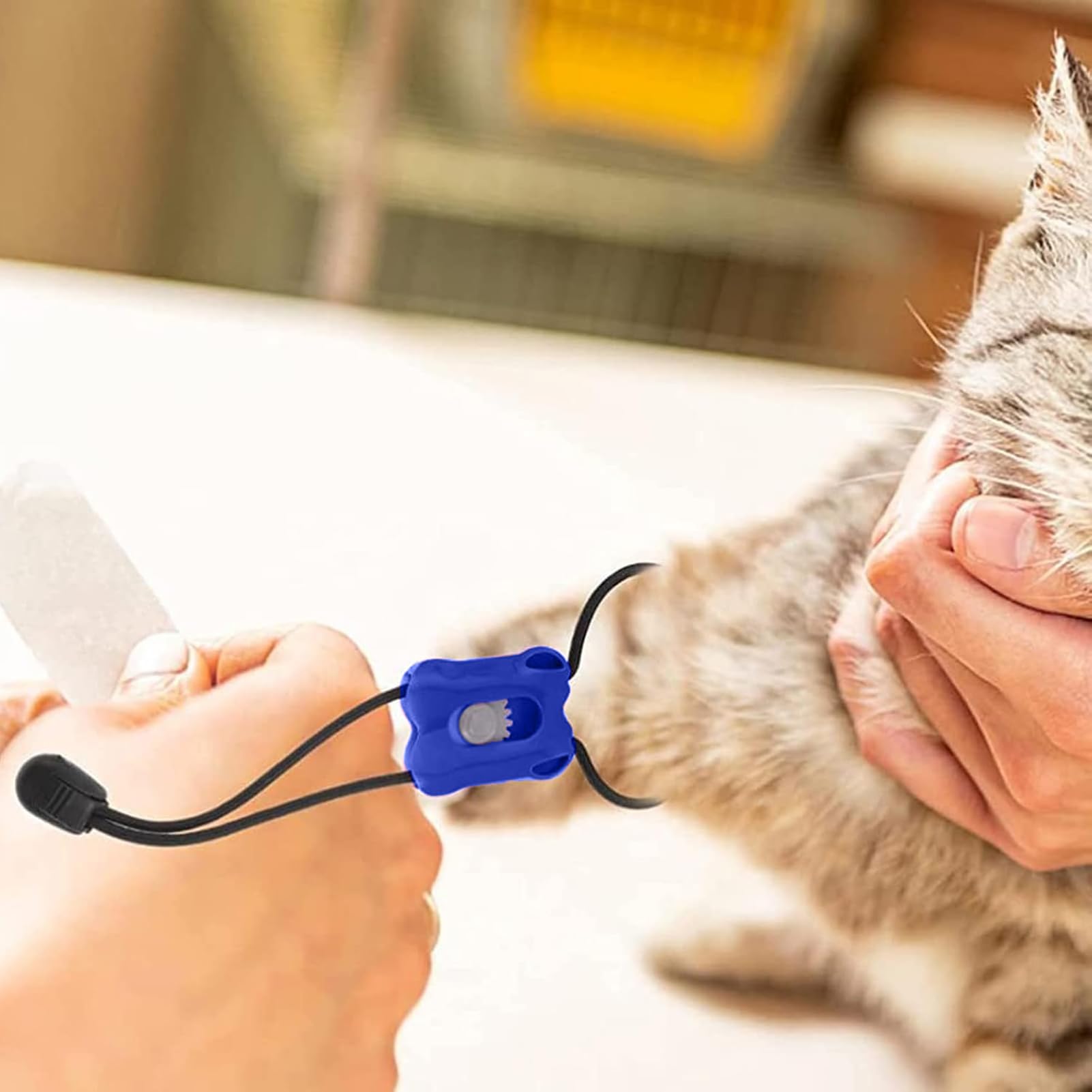 Kompressionsbandage für Tiere – traumatischer Notfallverband | sofortige Blutungskontrolle, tragbar, für Verletzungen, Reisen, Haus, Tierarzt, Tiere und Katzen