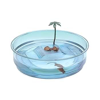 青磁水注 雨龍型 亀形　木箱（共箱） 青磁水注 雨龍型 亀形 木箱（共箱） 61idEazEygL._UF350