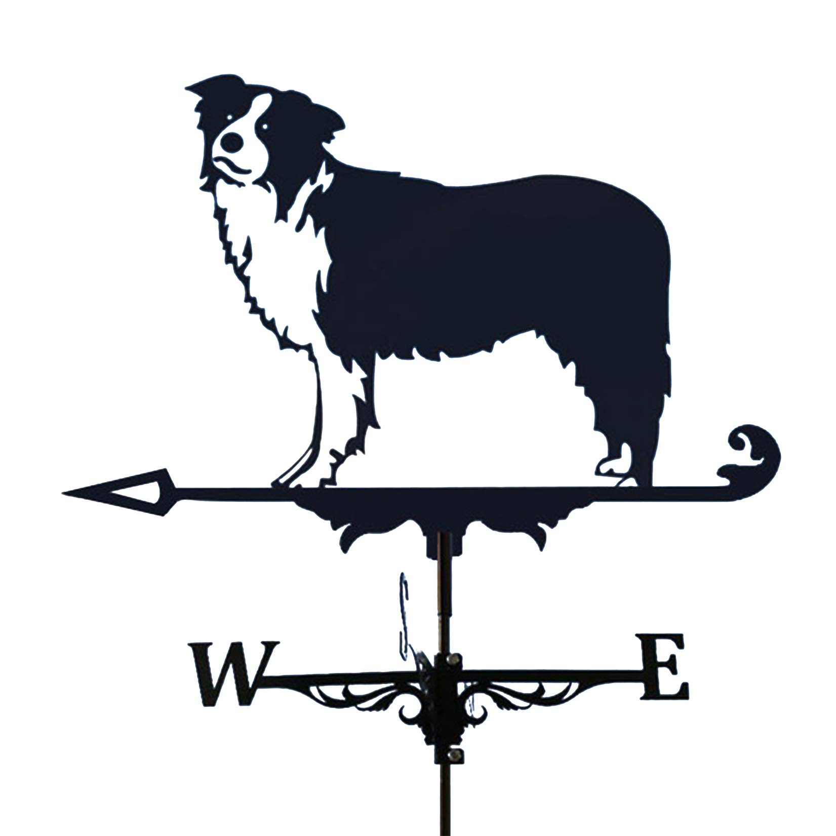 Girouette de toit Border Collie en métal forgé, finition durable