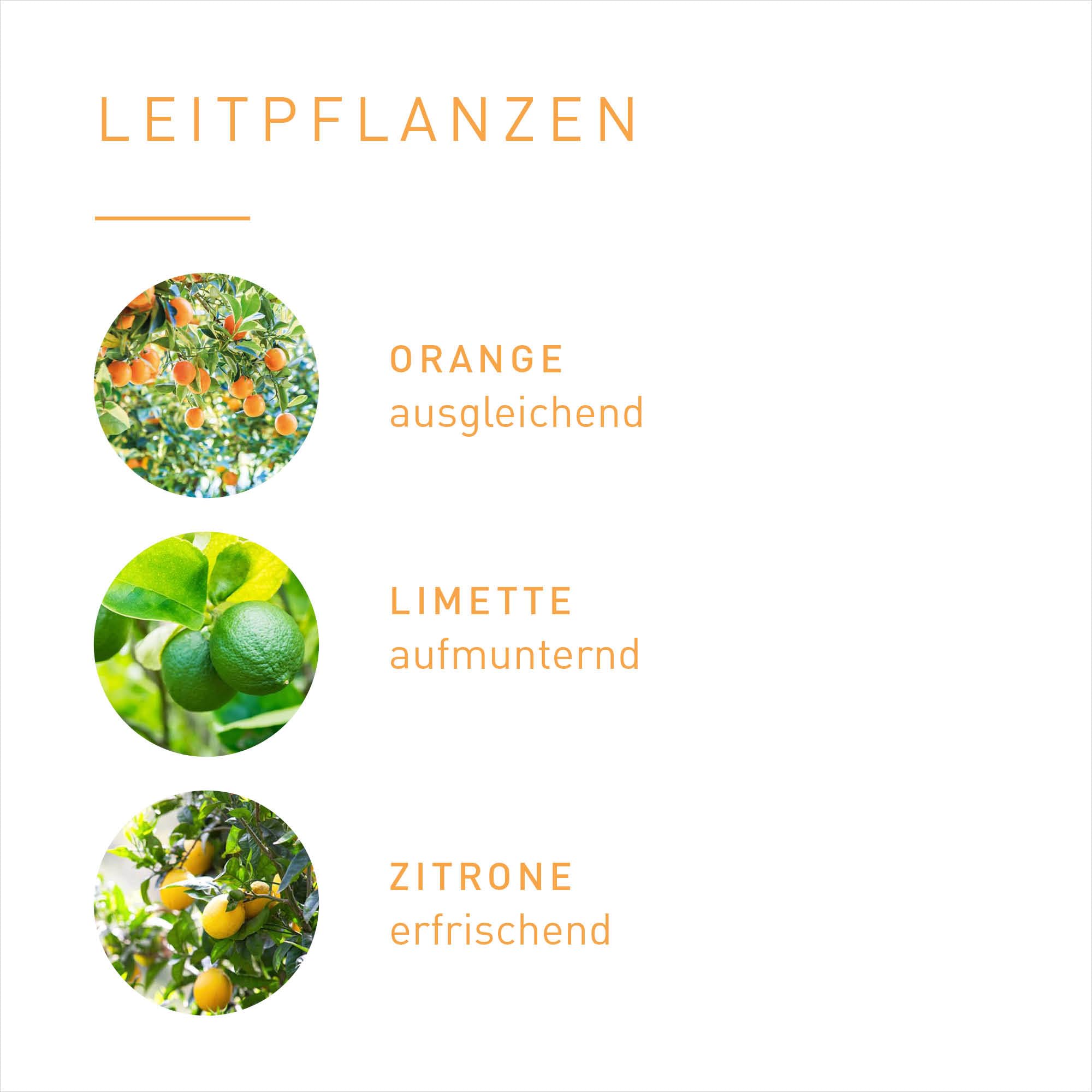 PRIMAVERA Duftmischung Gute Laune 6 x 5 ml - Orange, Limette und Zitrone - Aromaöl, Duftöl, ätherisches Öl Aromatherapie - motivierend - vegan